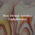 Endodontics New Dental Service Chapa-De Indian Health Auburn Grass Valley | Medical Clinic