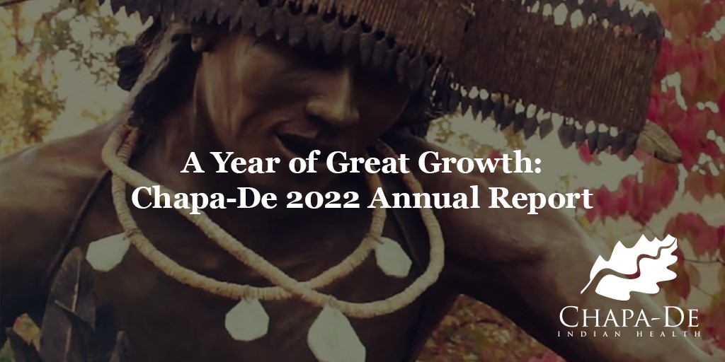 Chapa-De 2022 Annual Report